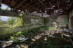 Abandoned Air Force Base | Interior Garden