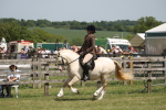 SBM_06955