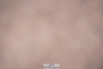 240802A-145038-05327
