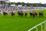 230823-Race 6-Designer-0788