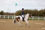 SBM_002642