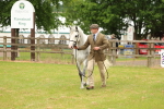 SBM_04046