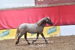 JAC_5683