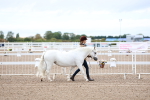SBM_00220