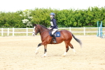 SBM_007885