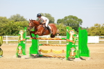 SBM_002239