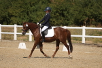 SBM_013719