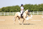 SBM_009080