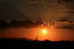June Sunset