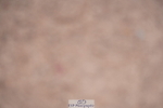 240802A-125632-04499