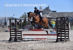 BPP_8171