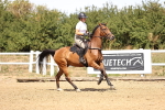 SBM_000873