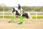 SBM_004206