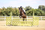 SBM_007987