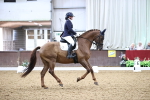 SBM_008956