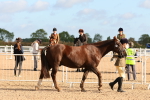 SBM_09183