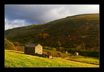 Three Barns