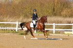 SBM_000480