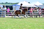 SBM_15292