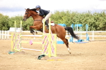 SBM_026848