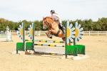 SBM_002984