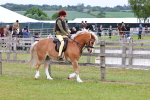 SBM_08537