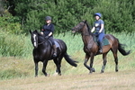 WJ7_4457