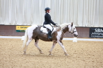 SBM_000325