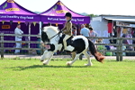 SBM_11640