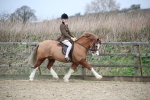 SBM_006039