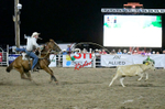AUG 5th Rodeo Performance portfolio