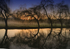 River dawn 2