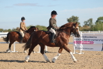 Class 302 - Ridden M&M Large Breeds portfolio