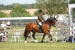 SBM_06886