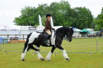SBM_00894