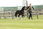 SBM_00410