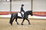 BPP_8188