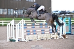 Cls 13 Foxhunter and 1.20m Open portfolio