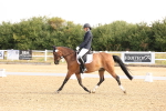 SBM_005155