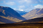 Looking towards Glen Etive - 805