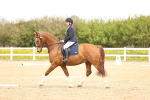 SBM_007439