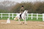 SBM_007819