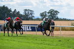 010826-Race 6-La Peregrina-3323
