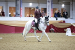 SBM_09862