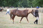 WJ6_6392