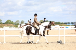 SBM_12037