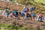 Loweswater Show-264