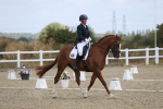 SBM_020404