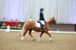SBM_000432