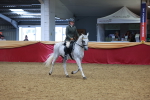 SBM_05466